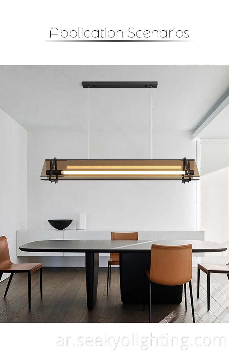 Post-modern Simple Ceiling Pendant Light